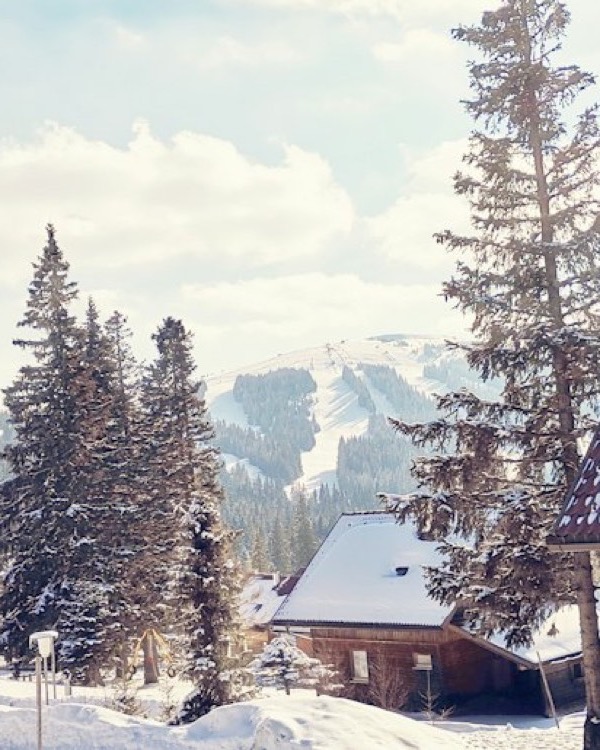 Cabaña entre árboles nevados